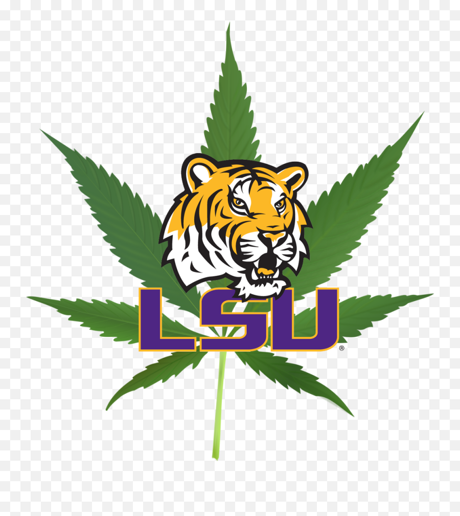 Medical Marijuana Leaf Clipart - Lousiana State University Logo Emoji,Marijuana Leaf Logo
