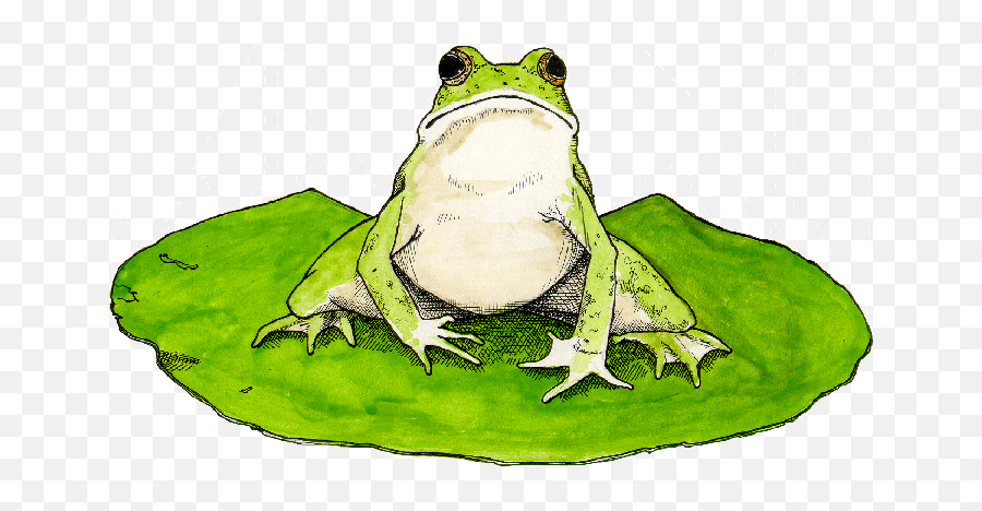 Frog On Lily Pad Clipart - Frog On Lily Pad Png Emoji,Lily Pad Clipart