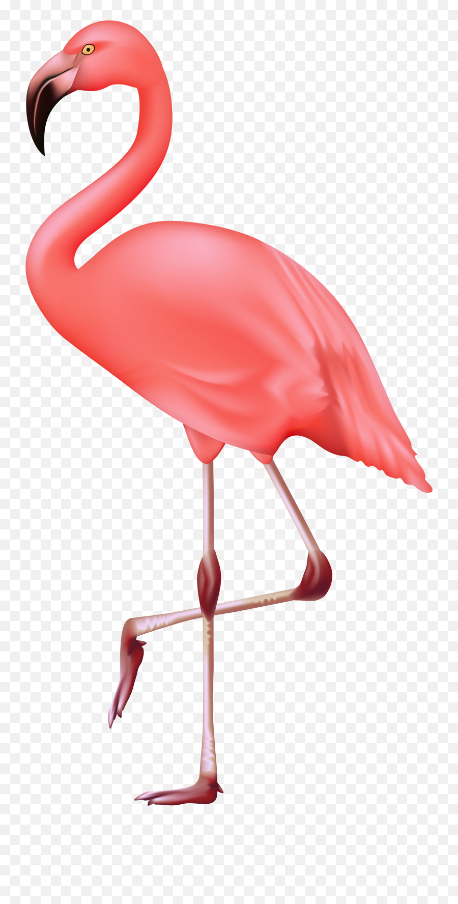 Flamingo Clipart Transparent Background - Flamingo Clipart Transparent Background Emoji,Flamingo Clipart