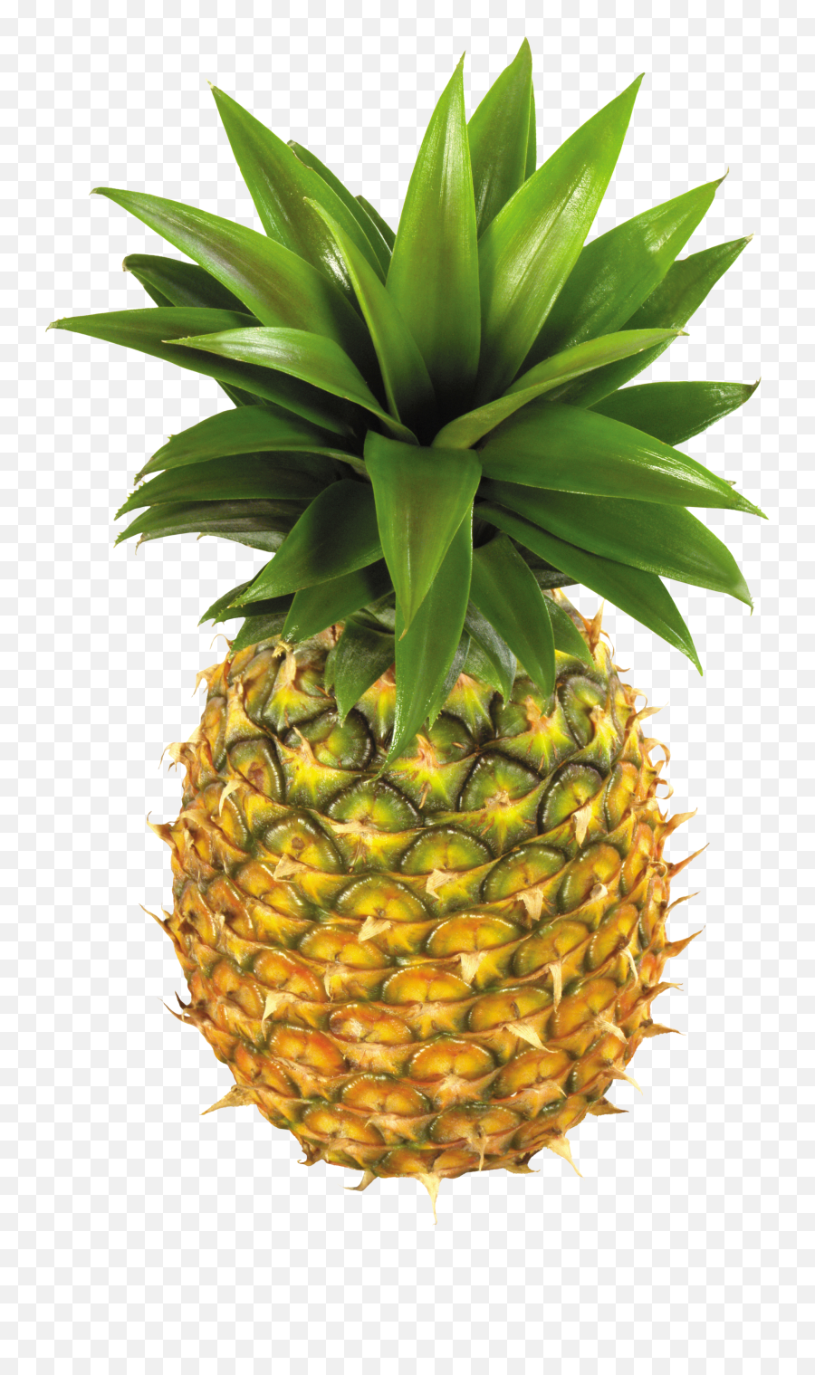 Pineapple Png Image - Pineapple Png Emoji,Pineapple Png