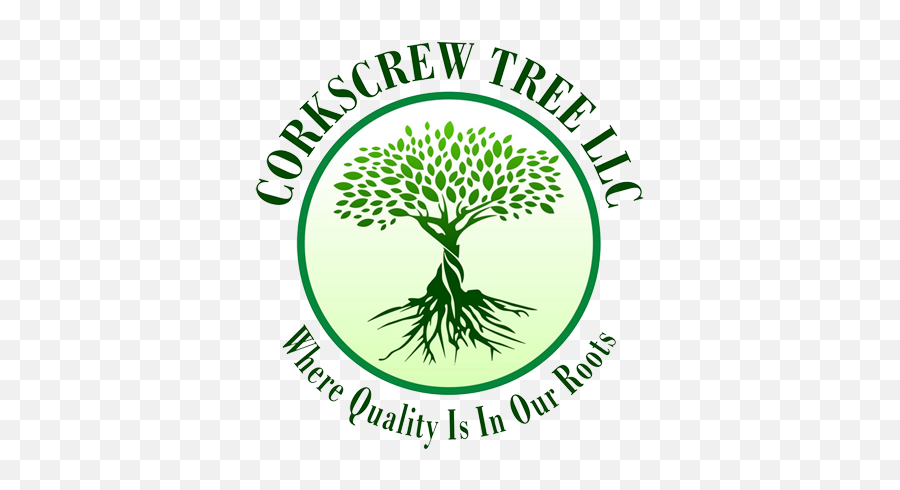 Corkscrew Tree Llc - Language Emoji,Tree Roots Logo