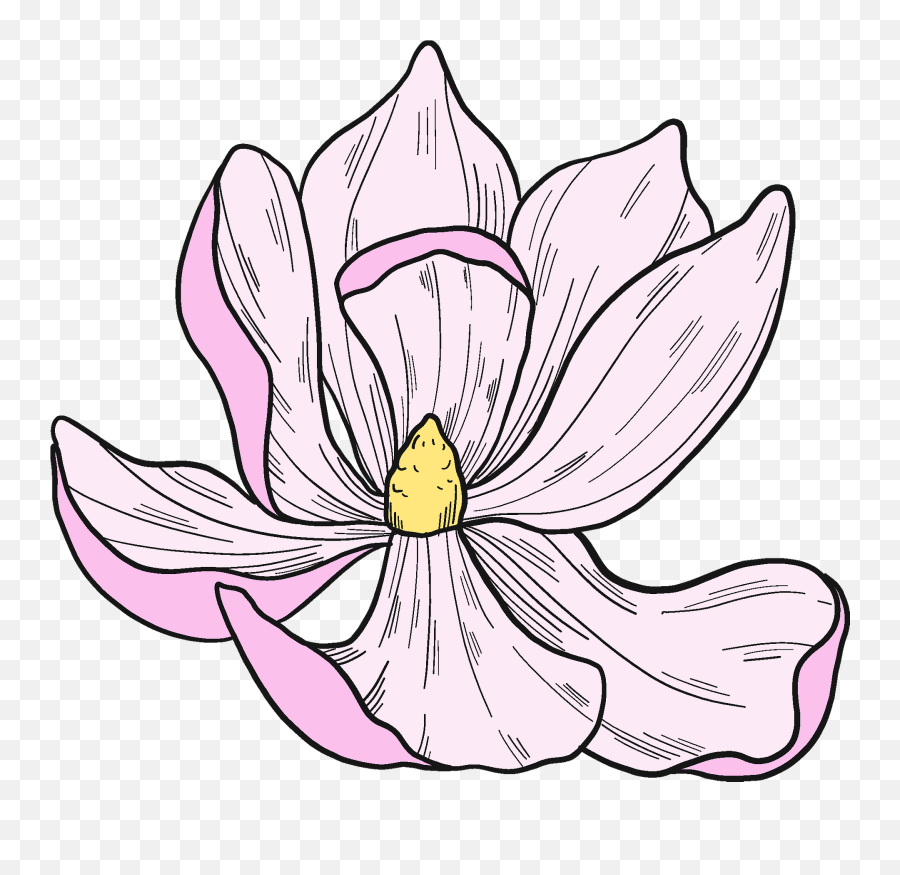 Magnolia Flower Clipart Free Download Transparent Png Emoji,Magnolia Clipart