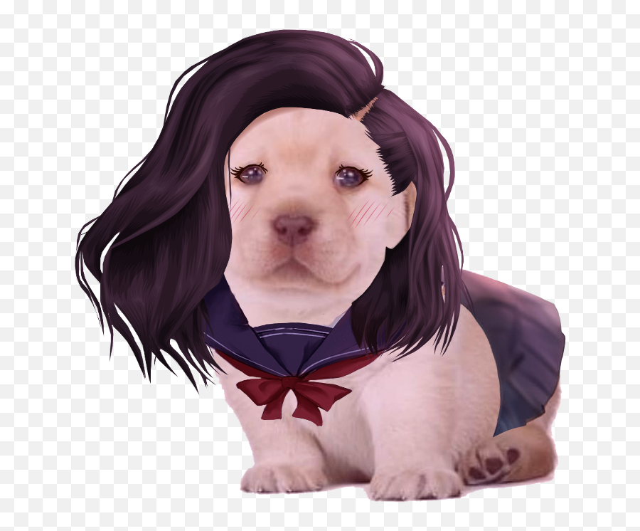 Dogelore - Perro Girl Emoji,Anime Girl Transparent