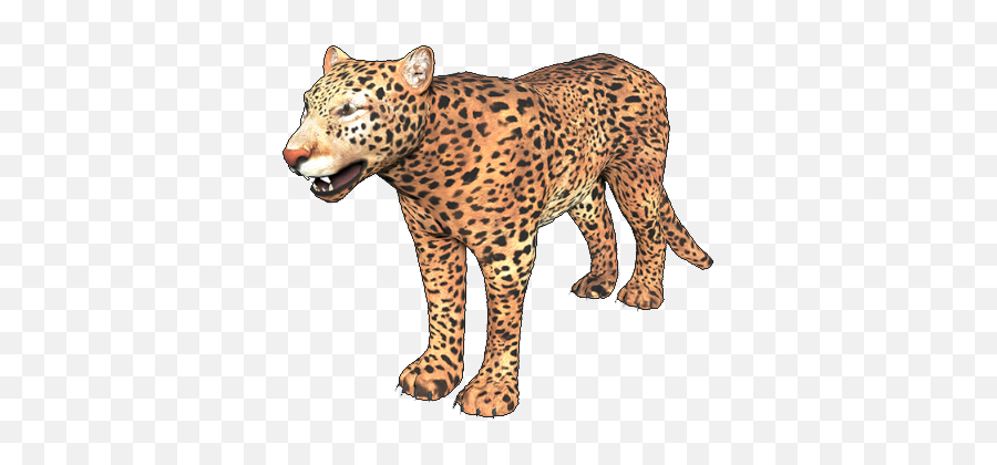 Jaguar Animallica Wiki Fandom Emoji,Jaguars Clipart