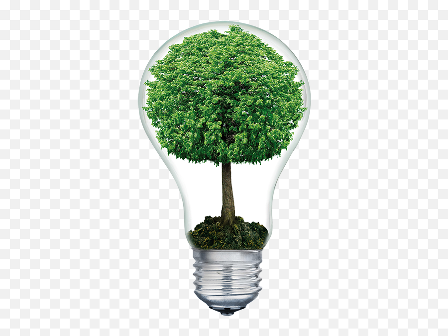 Download Do You Have Old Computer Technology - Light Bulb Tree In Light Bulb Png Emoji,Old Computer Png