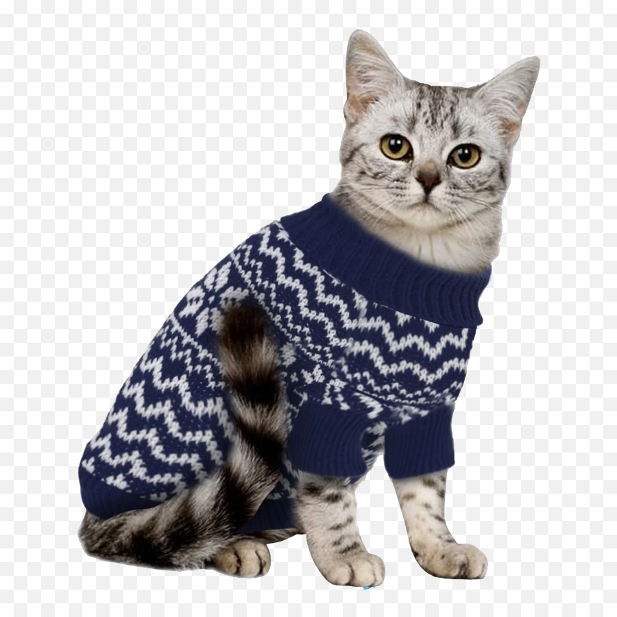Cat In Sweater - The Humane Society Of Harford County Emoji,Sweater Png
