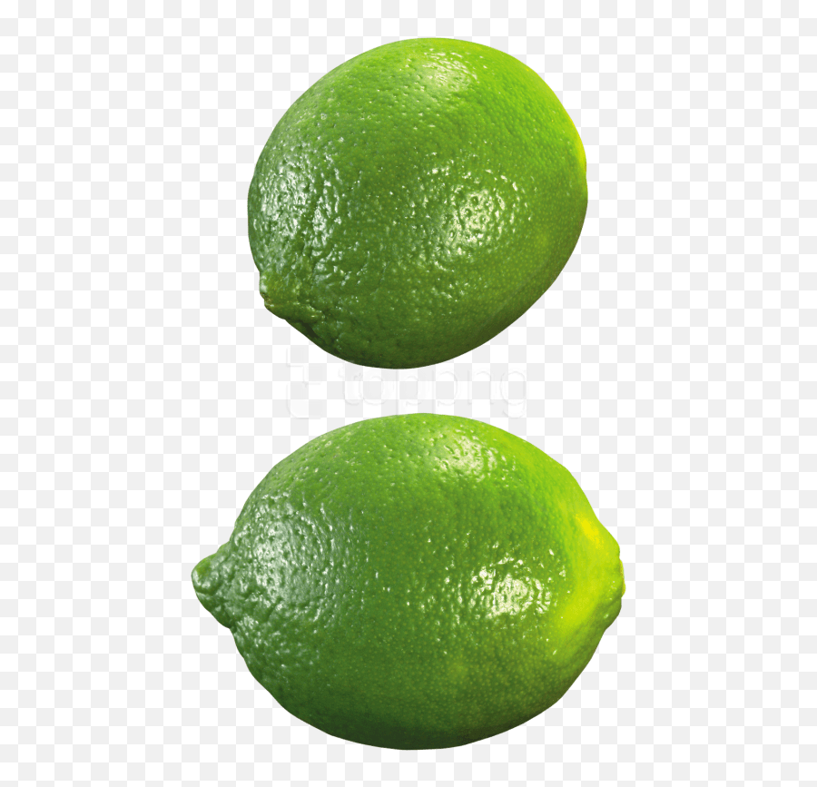 Download Free Png Lime Png Images - Lime Png Emoji,Lime Png