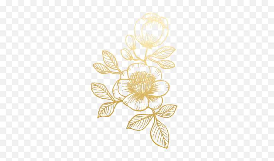 Free Scroll Border Clipart - Gold Flower Png 480x480 Png Elegant Gold Flower Transparent Background Emoji,Scroll Transparent Background