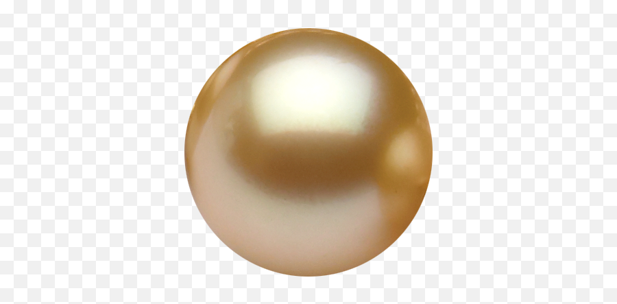 White Pearl Png - Transparent Gold Pearl Png Emoji,Pearl Png