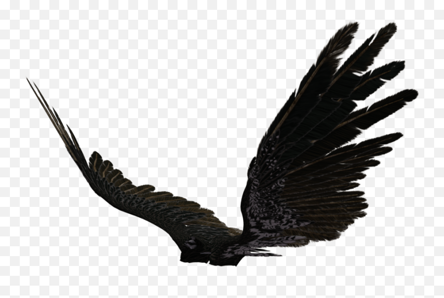 Angel Wing 03 By Wolverine041269 On - Side View Black Wings Png Emoji,Angel Wing Clipart