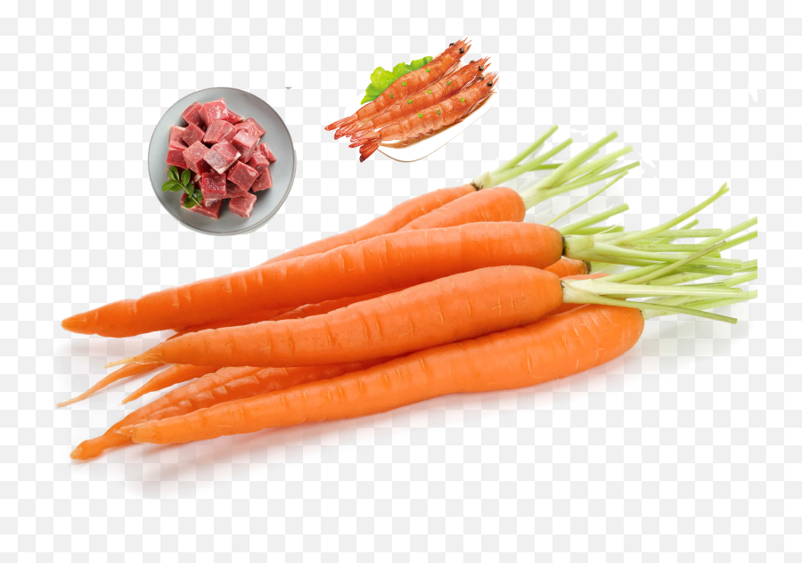Free Transparent Carrot Cake Png - Carrot Pdf Emoji,Carrot Transparent Background