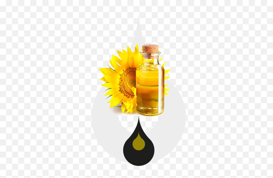 Home Made Fairness Oil Hd Png Download - Sunflower Seed Oil Png Emoji,Girasol Png