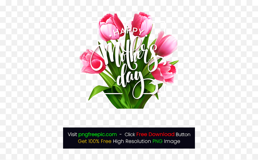 Blooming Tulip Flowers Mothers Day Png - Vector Momu0027s Day World Bicycle Day 2021 June3 Emoji,Mother's Day Png