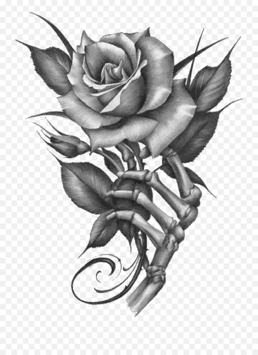 Black Rose Flower Nature Art Sticker Emoji,Black Rose Clipart