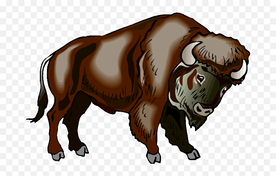 Image Of Buffalo Clipart 5502 For Buffalo Graphics - Buffalo Clip Art Emoji,Moose Clipart