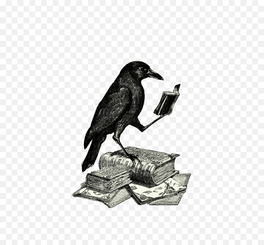 Free Raven Png Transparent - Ravens Claw Emoji,Raven Png
