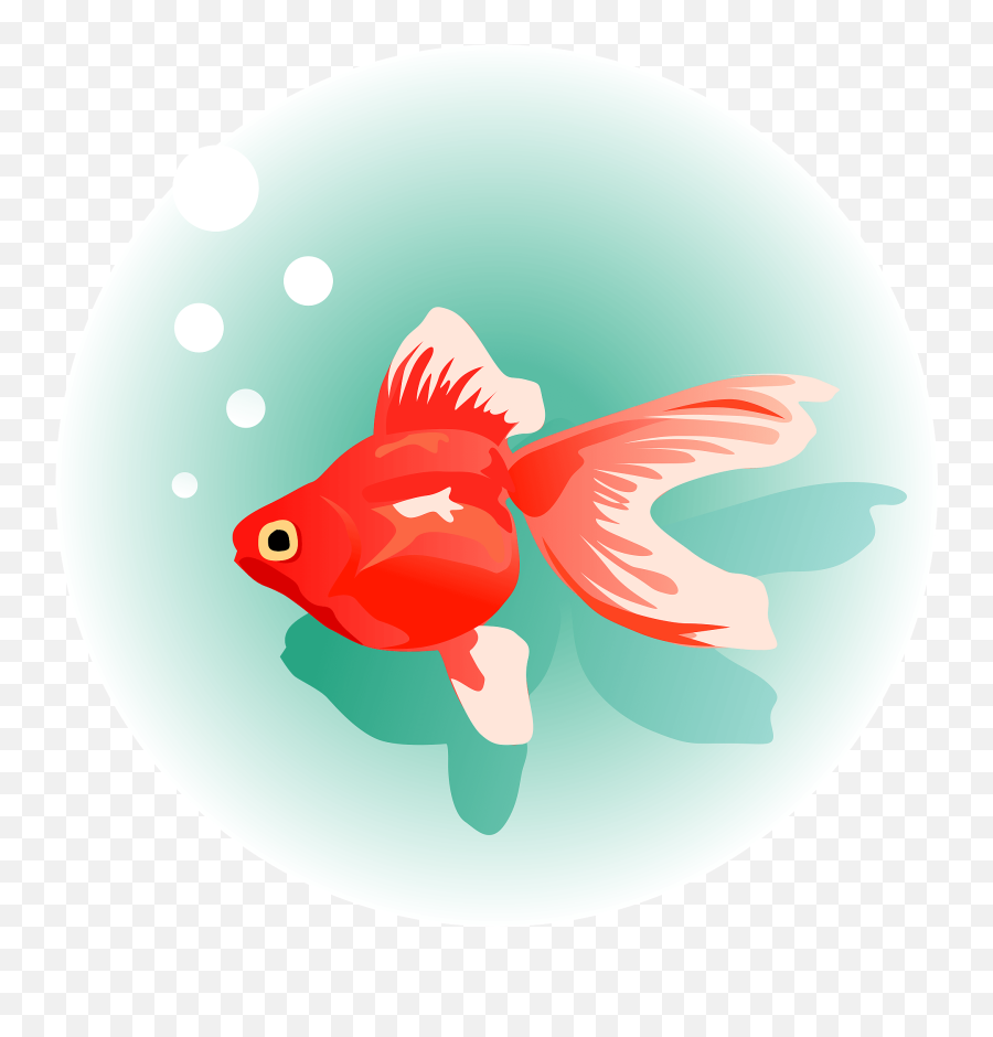 Goldfish Clipart Free Download Transparent Png Creazilla - Goldfish Emoji,Goldfish Clipart