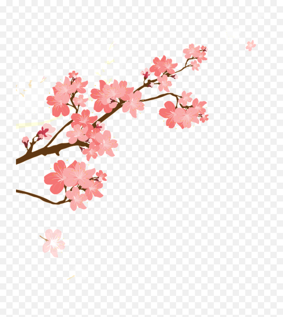 Download Korean Style Cherry Blossom - Cherry Blossom Art Emoji,Cherry Blossom Transparent