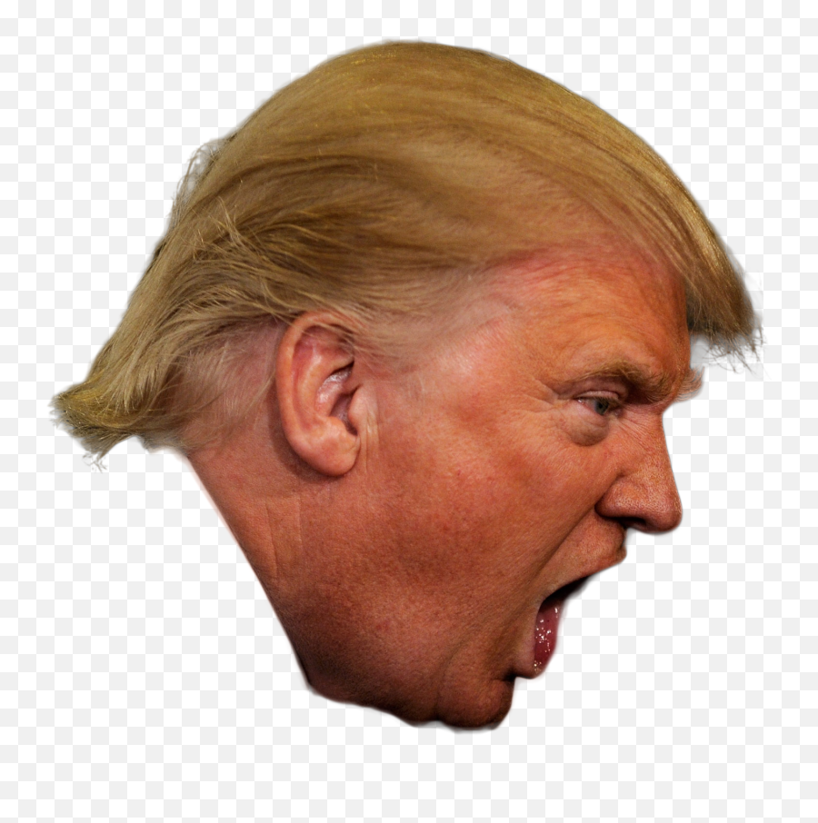 Donald Trump Png Orange - Donald Trump Word Bubble Trump Face Side No Background Emoji,Trump Png