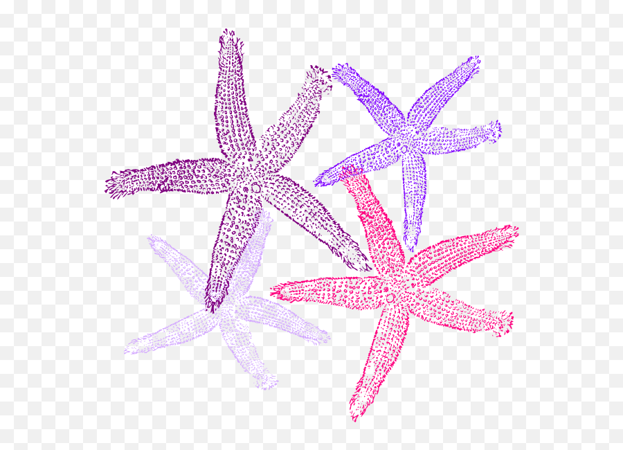 Drawing Starfish Beach - Starfish Transparent Transparent Emoji,Starfish Transparent Background