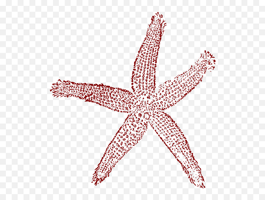 Redfish Star Clip Art At Clkercom - Vector Clip Art Online Emoji,Redfish Clipart