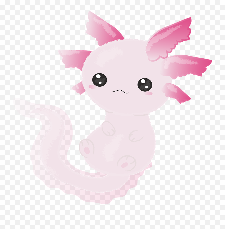 Azolotl Cute Animal Threatened - Free Image On Pixabay Emoji,Cute Animal Png