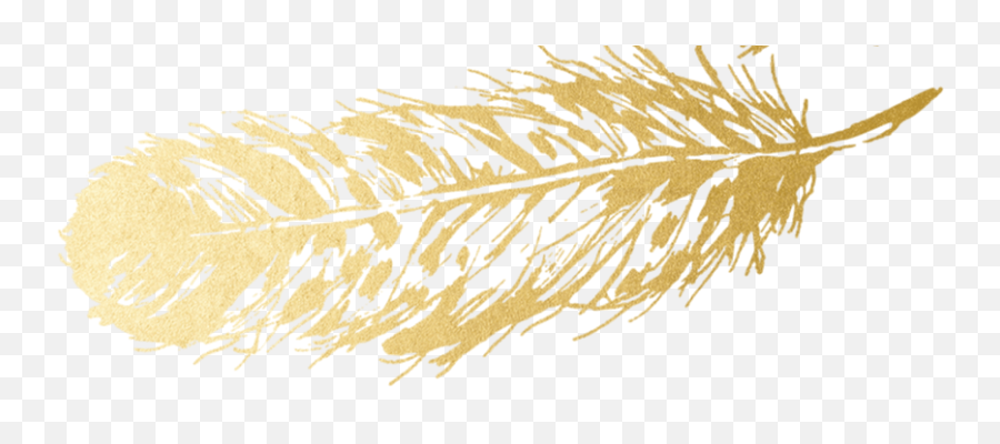 Gold - Feathers Llll U2013 Melody Valene Emoji,Gold Feather Png