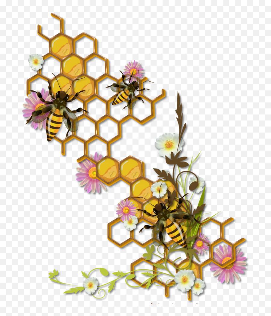 Library Of Burts Bees Banner Royalty Free Download Png Files - Sketch Bee Honeycomb Drawing Emoji,Bees Clipart