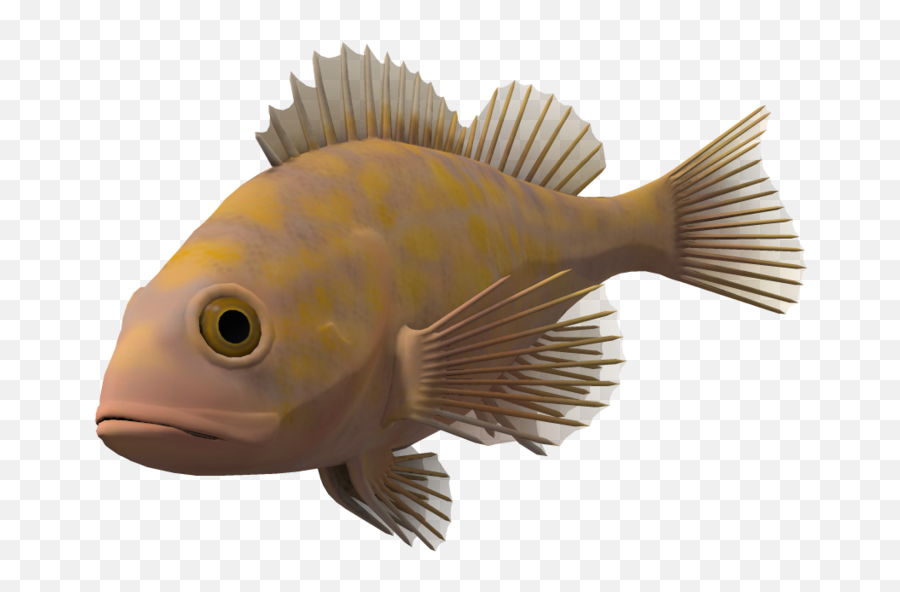 Png Images Vector Psd Clipart Templates Emoji,Fish Transparent Background