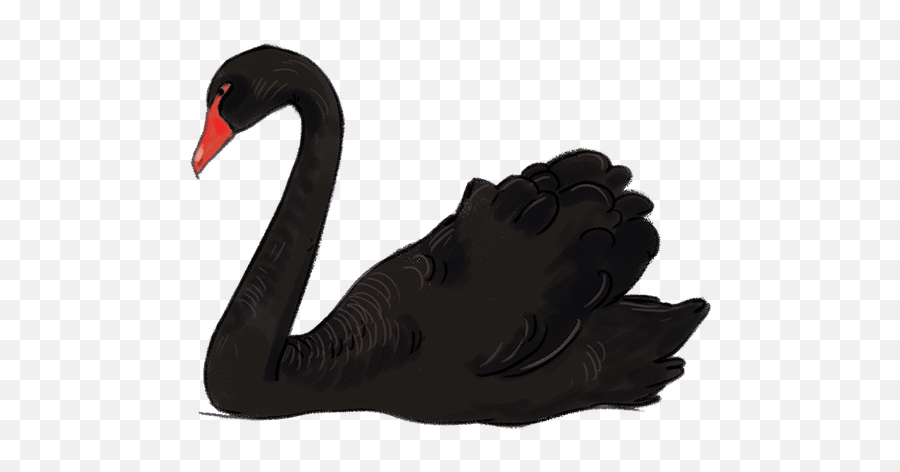 Swan Png Alpha Channel Clipart Images - Black Swan Png Emoji,Swan Clipart