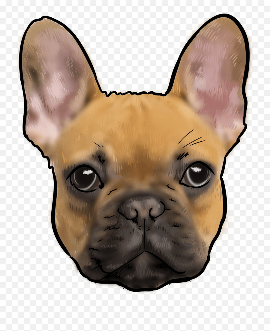 French Bulldog Dog Breeds Hd Png Emoji,French Bulldog Png