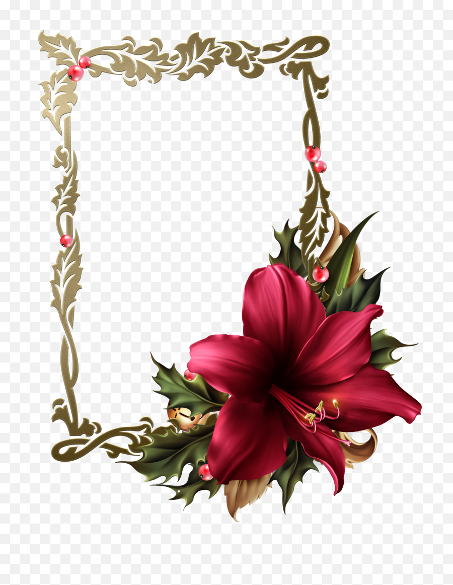 Festive Amarylis Flower Frame Wedding Album Design Emoji,Transparent Flower Border Tumblr