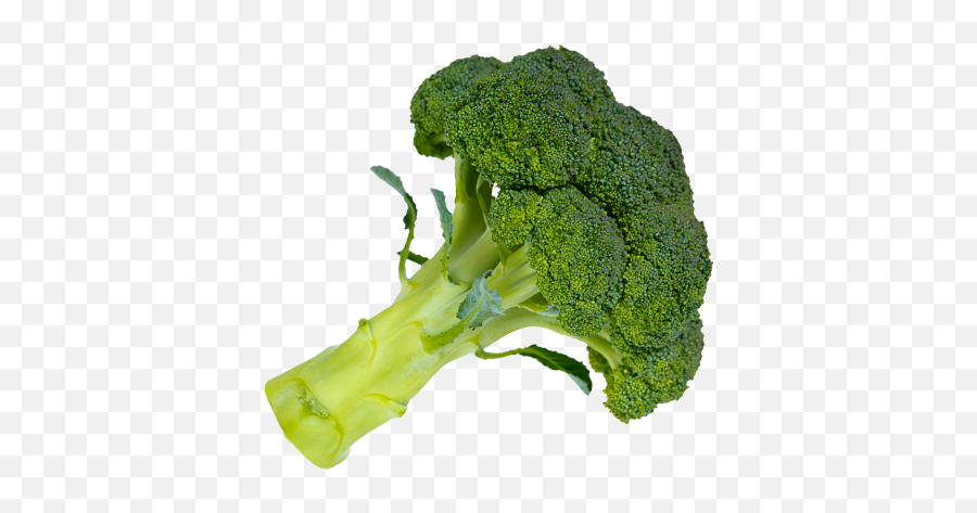 Broccoli Png Hd Photo - Broccoli Png Emoji,Broccoli Png