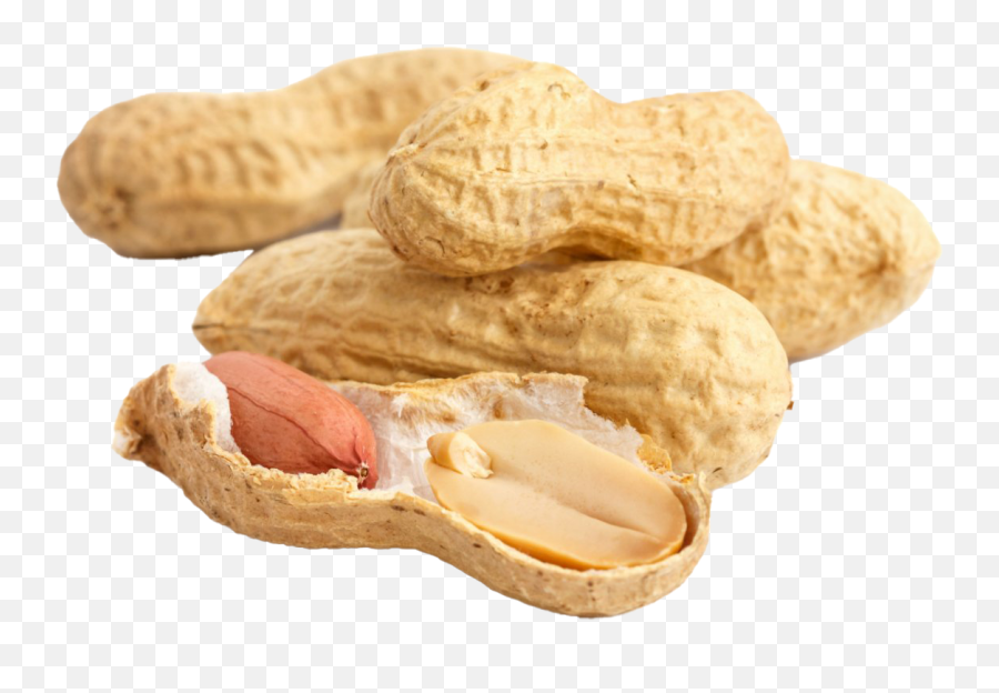 Peanut Transparent - Peanut Emoji,Peanut Transparent