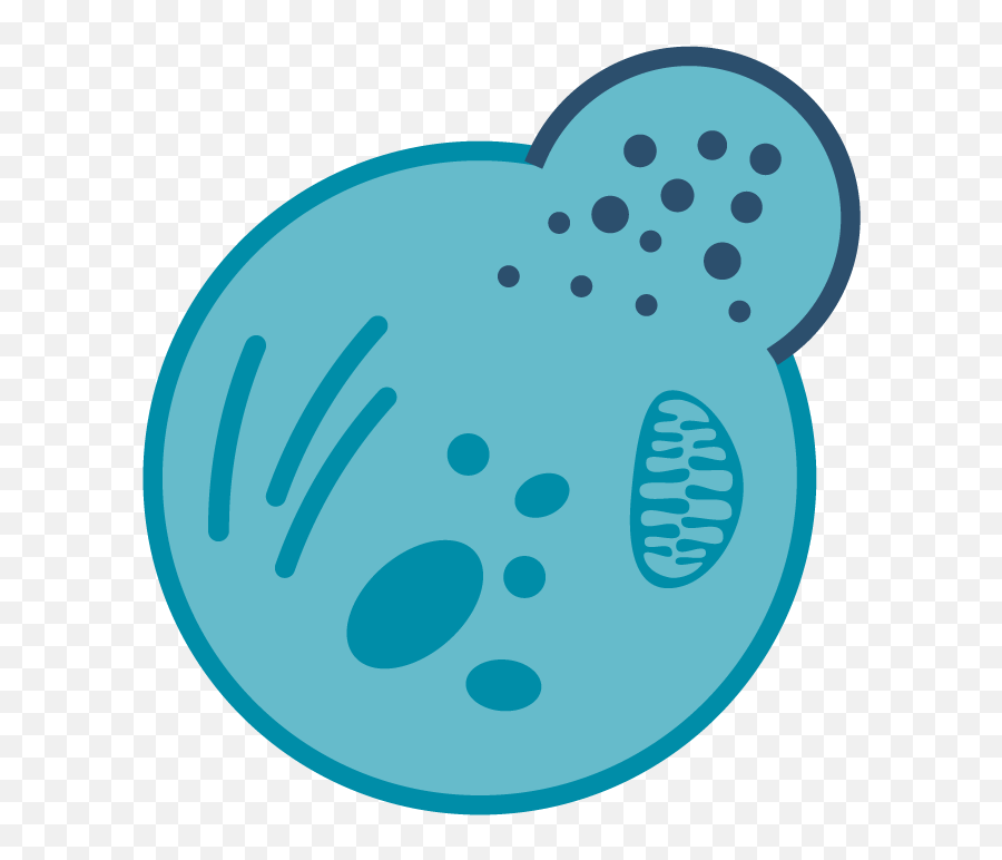 Cellreporterxpress Microscopy Imaging Molecular Devices Emoji,It's A Small World Clipart