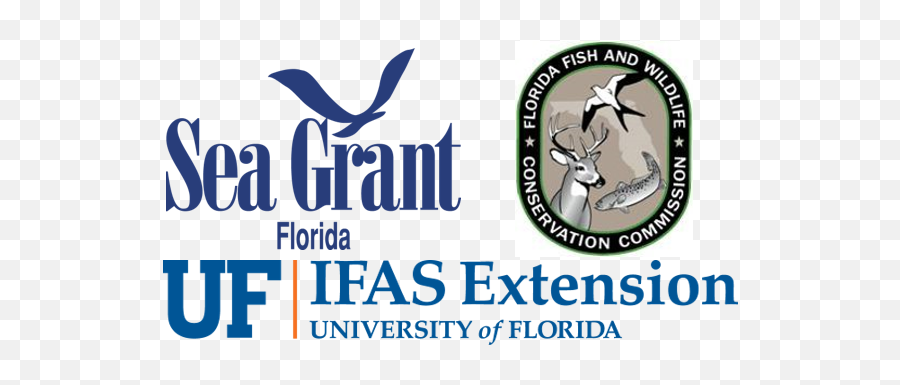 Bringing The Future Of Floridau0027s Artificial Reefs Into Focus Emoji,Uf Ifas Logo