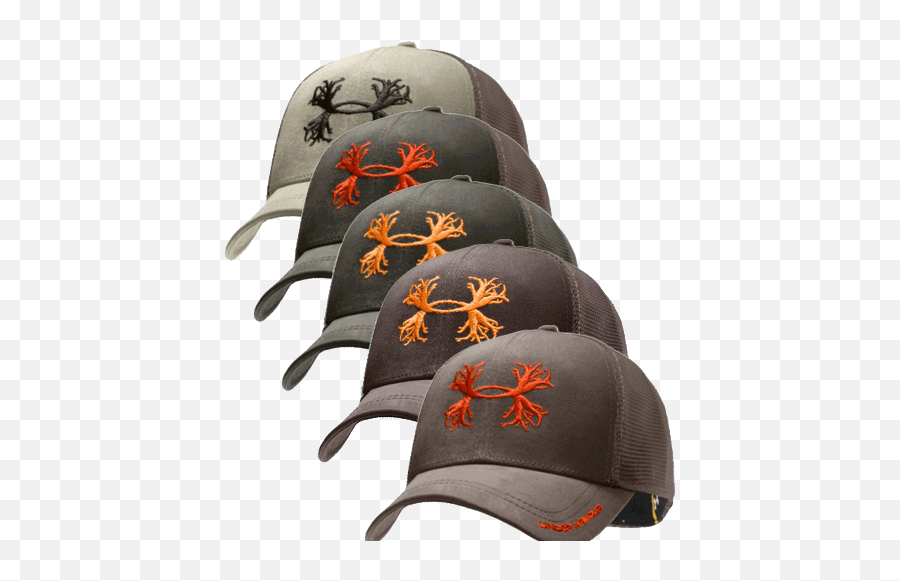 Under Armour Antler Hat Fitted Online Shopping For Women - Cricket Cap Emoji,Under Armour Logo