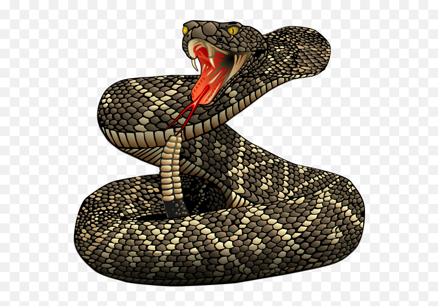 Realistic Clipart Snake - Rattlesnake Clipart Emoji,Snake Clipart