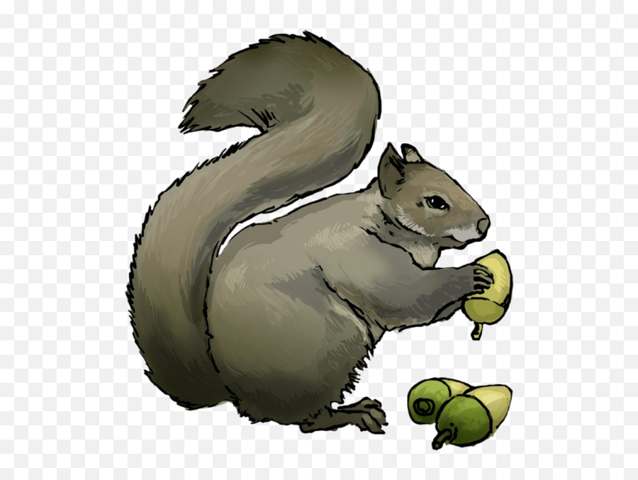 Indian Clipart Squirrel Indian - Squirrel Eating Nuts Clipart Png Emoji,Indian Clipart