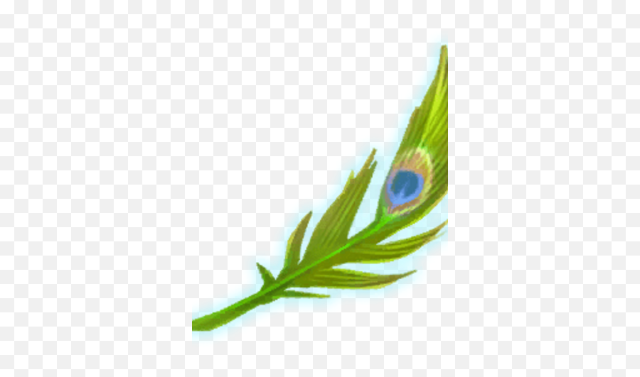 Wizards - Peacock Feather Harry Potter Emoji,Peacock Feather Png