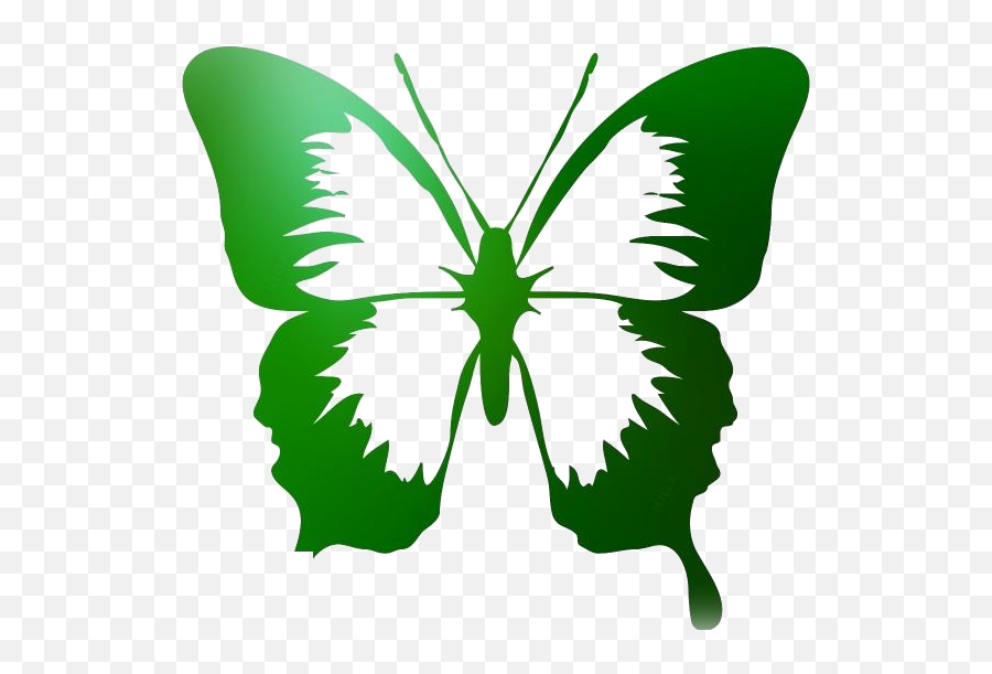 Transparent Butterfly Outline Vector Pngimagespics Emoji,Butterfly Outline Png