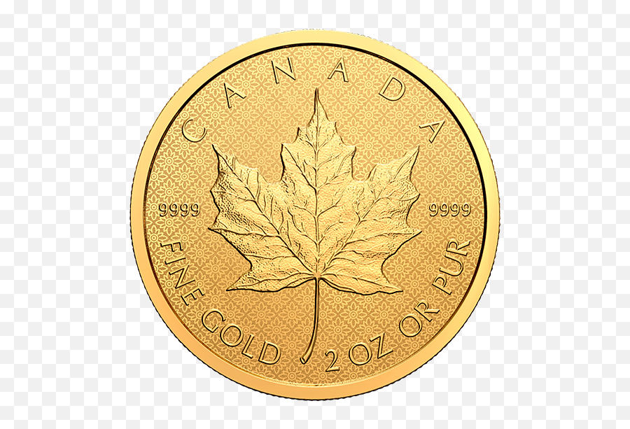 2 Oz Pure Gold Coin U2013 The Classical Maple Leaf U2013 Mintage Emoji,Gold Coins Transparent