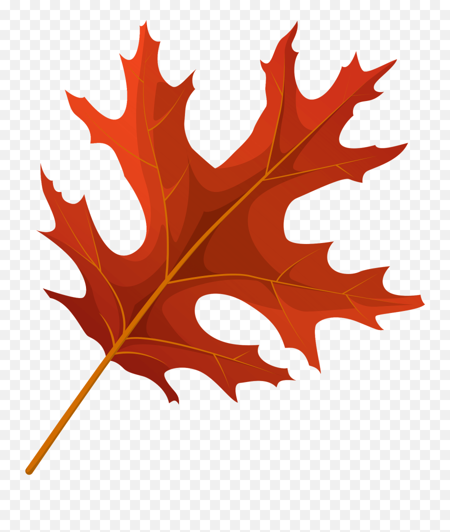 Scarlet Oak Red Leaf Clipart Free Download Transparent Png Emoji,Leaf Outline Png