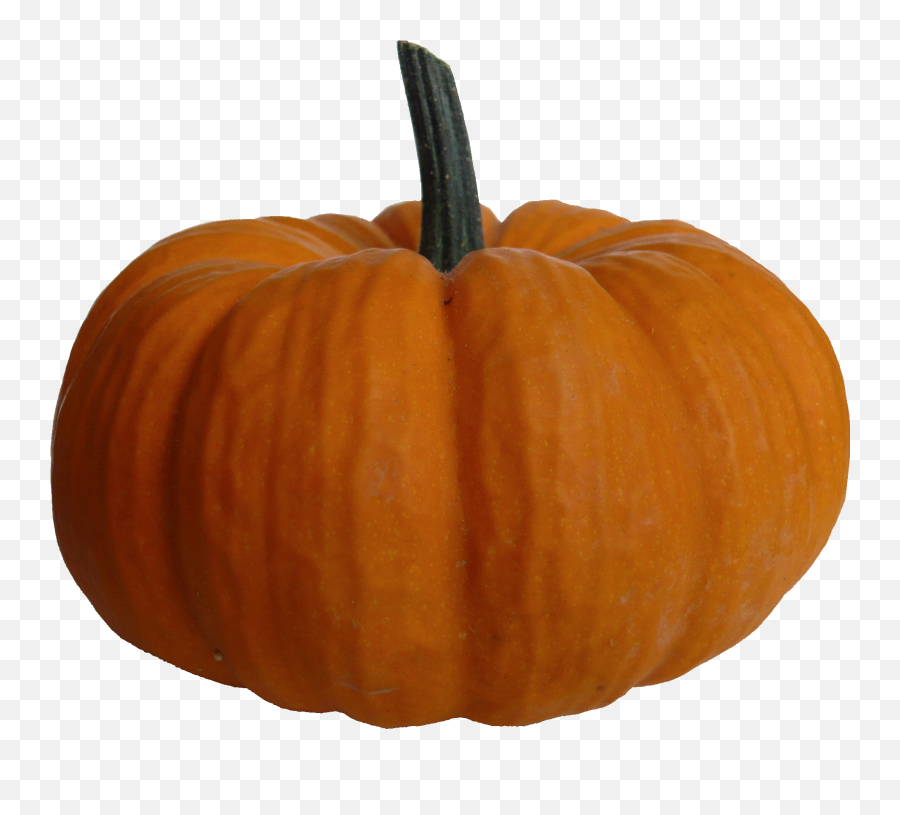 Pumpkin Png - Pumpkin Png Emoji,Pumpkin Png
