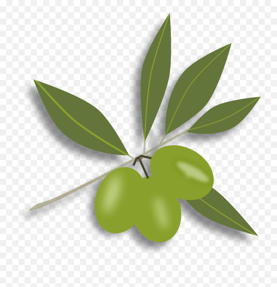Olive Oil Clipart Free Download Transparent Png Creazilla - Clip Art Emoji,Oil Clipart