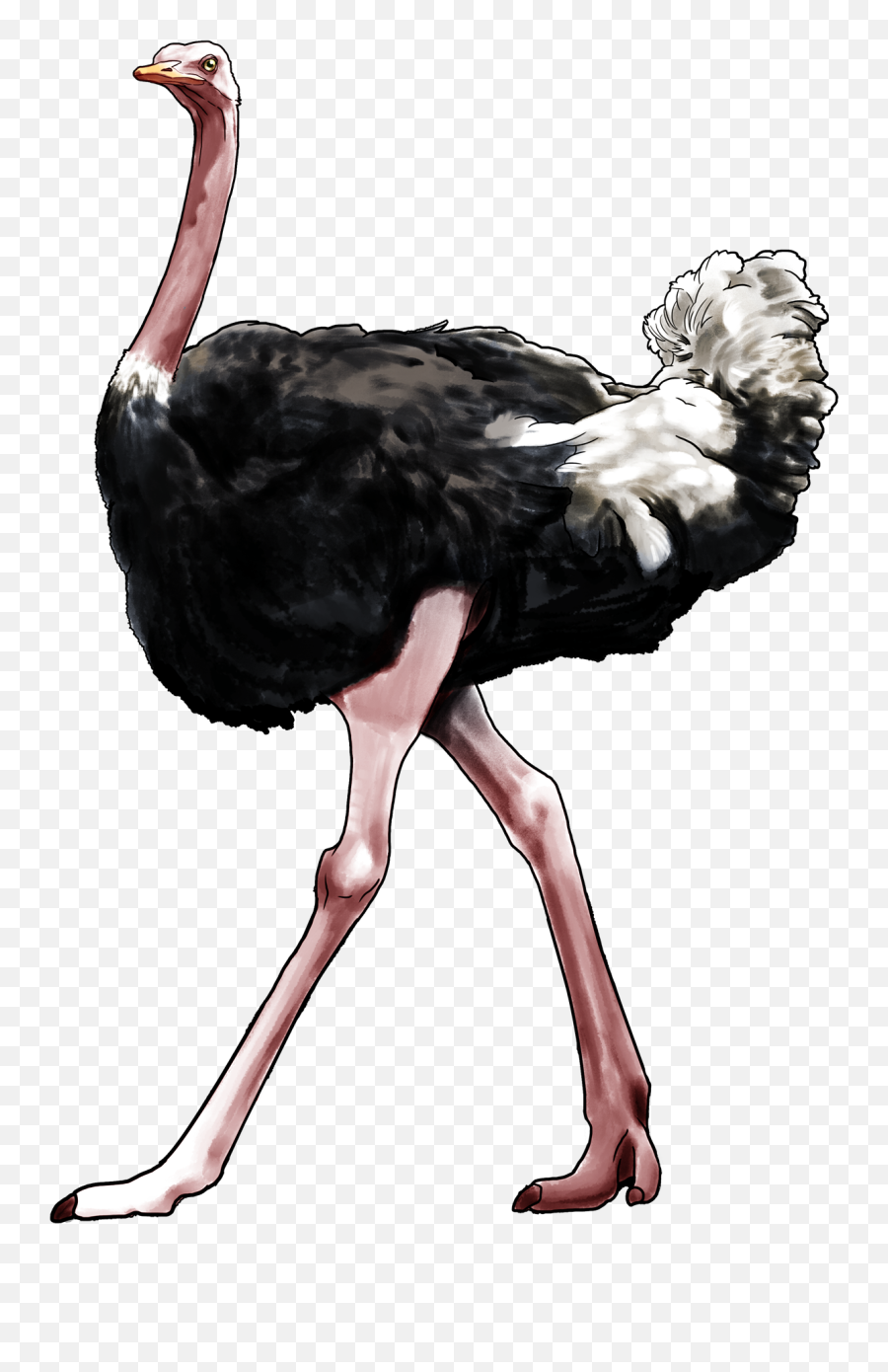 Ostrich Png Download Image - Ostrich Png Emoji,Ostrich Clipart