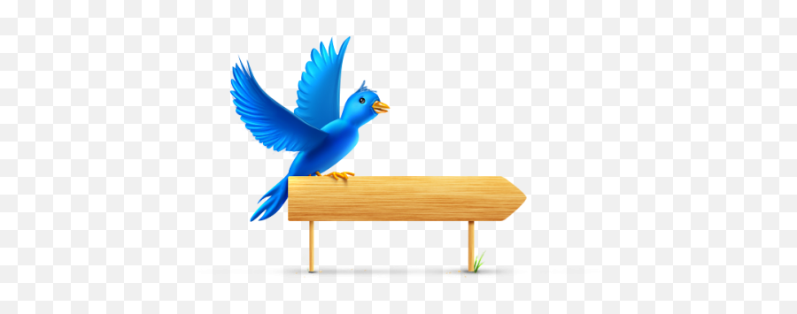Bird Perch Icon Png Clipart Image - Preposition Of Place Above Emoji,Twitter Bird Png