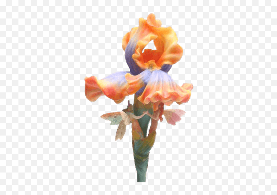 Iris Flower Stem Transparent Png Image - Hadas De Plantas Emoji,Flower Stem Png