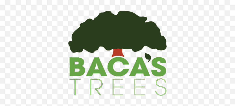 Home - Bacau0027s Trees Language Emoji,Tree Roots Logo