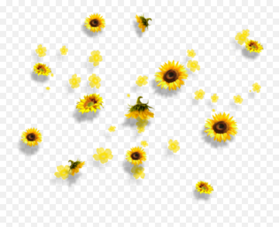 Yellow Flowers Aesthetic Tumblr Falling Clipart - Full Size Aesthetic Transparent Background Sunflower Png Emoji,Yellow Flower Transparent